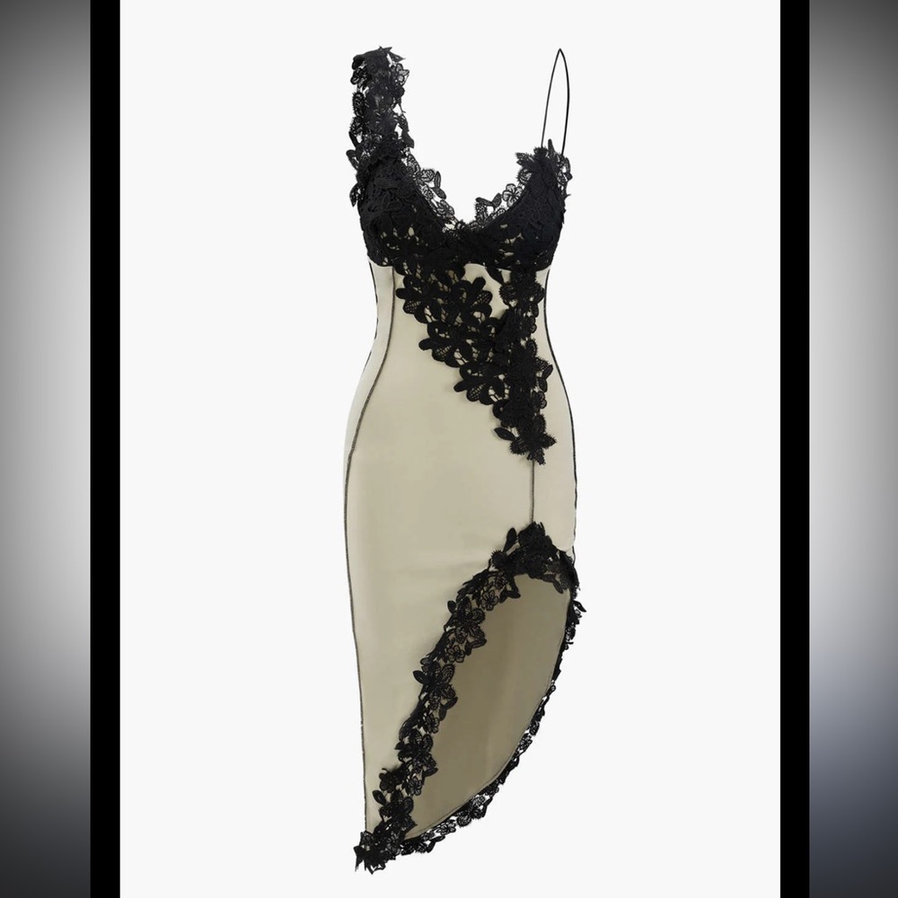 Elegant Black and Cream Lace Dress
